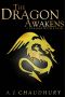 [A Dragon With Fur 01] • The Dragon Awakens